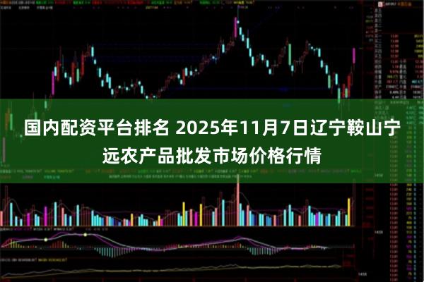 国内配资平台排名 2025年11月7日辽宁鞍山宁远农产品批发市场价格行情