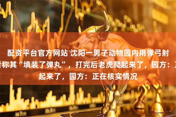配资平台官方网站 沈阳一男子动物园内用弹弓射老虎，目击者称其“填装了弹丸”，打完后老虎爬起来了，园方：正在核实情况