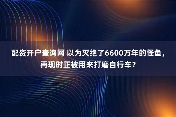 配资开户查询网 以为灭绝了6600万年的怪鱼，再现时正被用来打磨自行车？