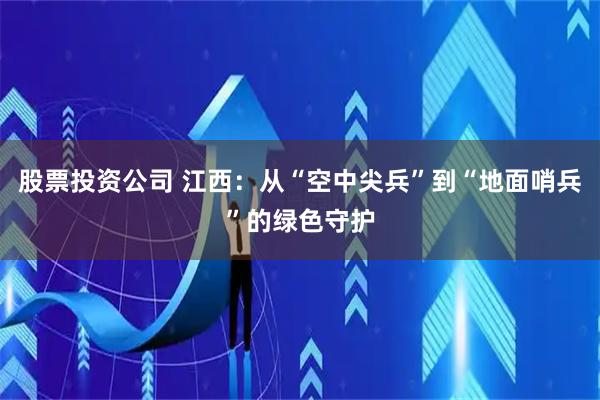 股票投资公司 江西:从“空中尖兵”到“地面哨兵”的绿色守护